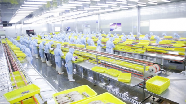 拼多多“商家权柄保护委员会”推出惠商新举措，新质供给助外贸工场见效转内销